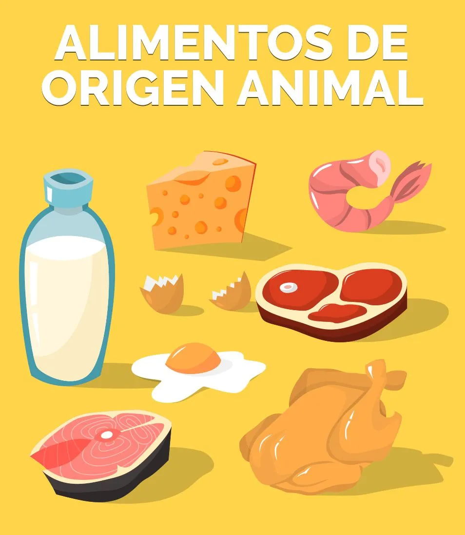 alimentos de origen animal infografia - Juegos infantiles alimentos de origen animal infografia - Juegos infantiles