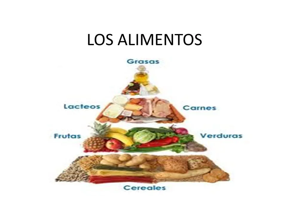 LOS ALIMENTOS. - ppt descargar