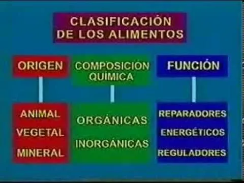 Alimentos para primaria - YouTube