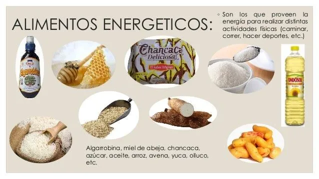 alimentos-reguladores- ...