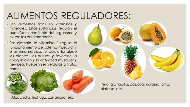 alimentos-reguladores- ...