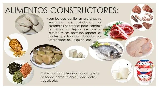 Alimentos reguladores, energeticos y constructores; lavado de manos Alimentos reguladores, energeticos y constructores; lavado de manos