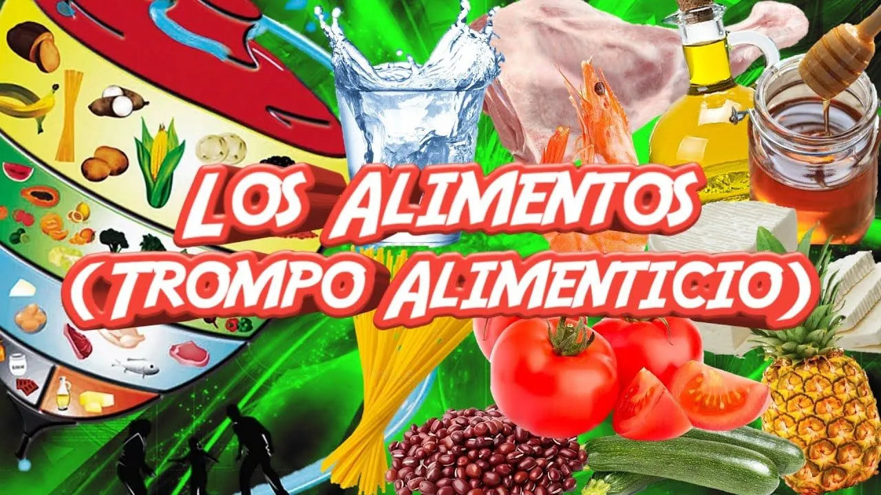 los Alimentos (Trompo Alimenticio) - YouTube los Alimentos (Trompo Alimenticio) - YouTube