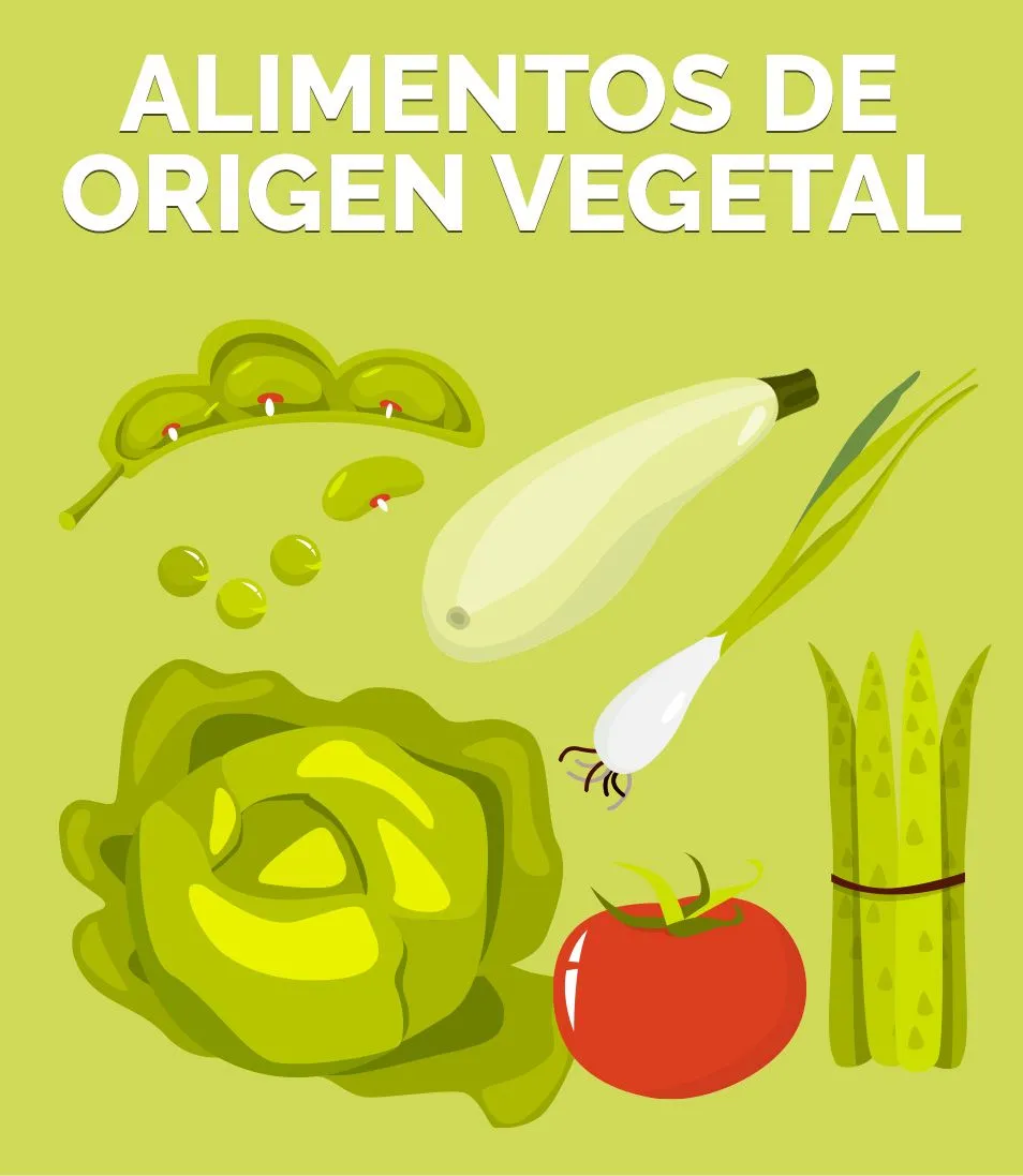 ALIMENTOS VEGETALES ® Juegos y actividades sobre los vegetales
