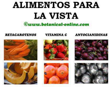 Alimentos para la vista