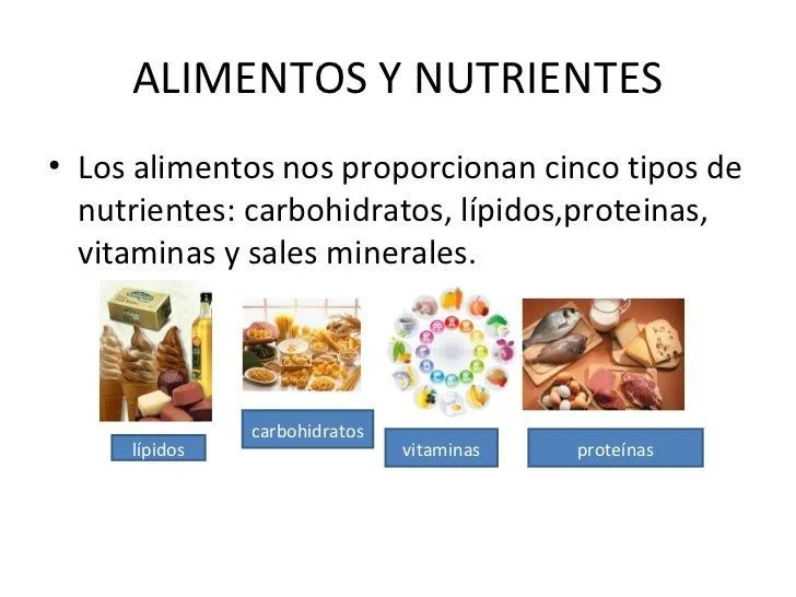 Alimentos y nutrientes