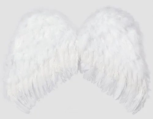 Alas de angel para niños - Imagui