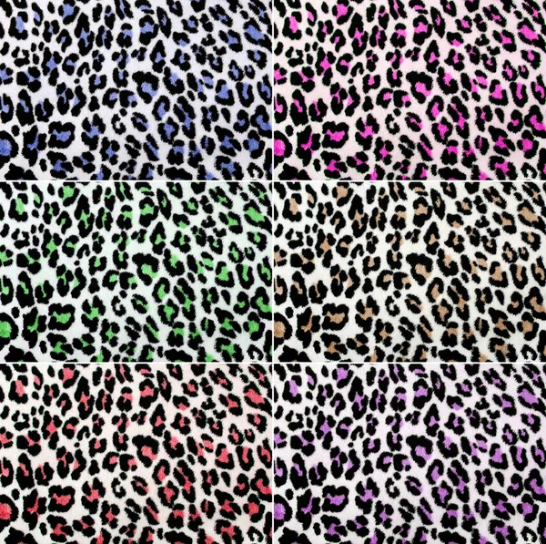 All colors leopard pattern collage. Eight spotted fur animal print ...