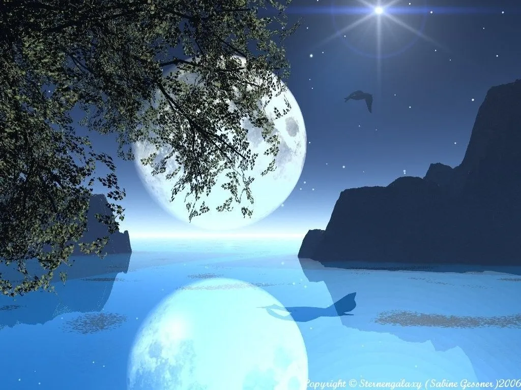 El alma se expresa en verso: POETA O CANTANTE