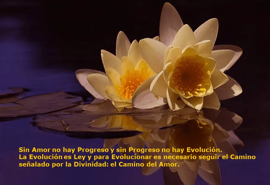 EL ALMA. | lalunagatuna