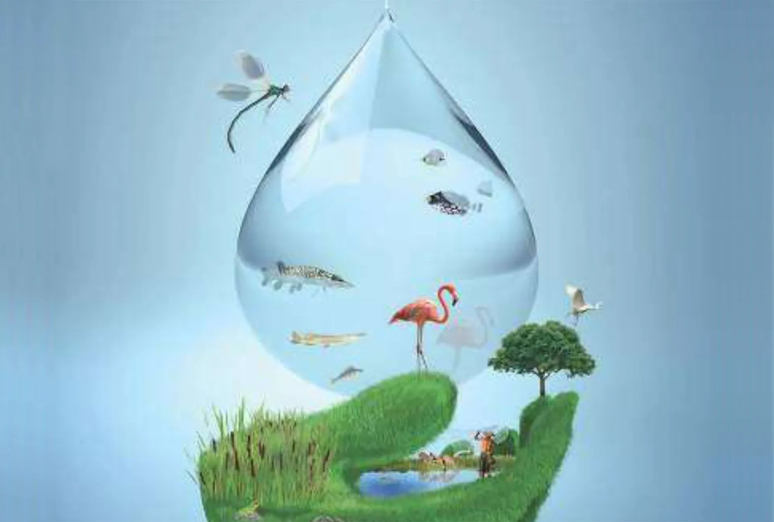 Almas del Fenix: DIA MUNDIAL DEL MEDIO AMBIENTE - TERMINEMOS DE ... Almas del Fenix: DIA MUNDIAL DEL MEDIO AMBIENTE - TERMINEMOS DE ...