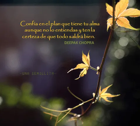 ALMAS GEMELAS QUE SE UNEN: Algunas frases,reflexiones y pensamientos. ALMAS GEMELAS QUE SE UNEN: Algunas frases,reflexiones y pensamientos.