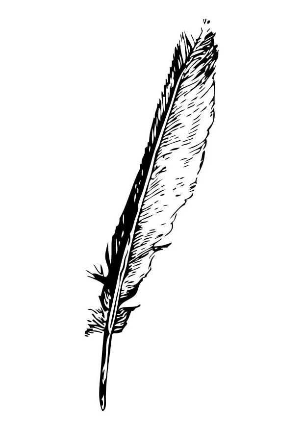 El Almohadon de Plumas | Diseñadora Gráfica El Almohadon de Plumas | Diseñadora Gráfica