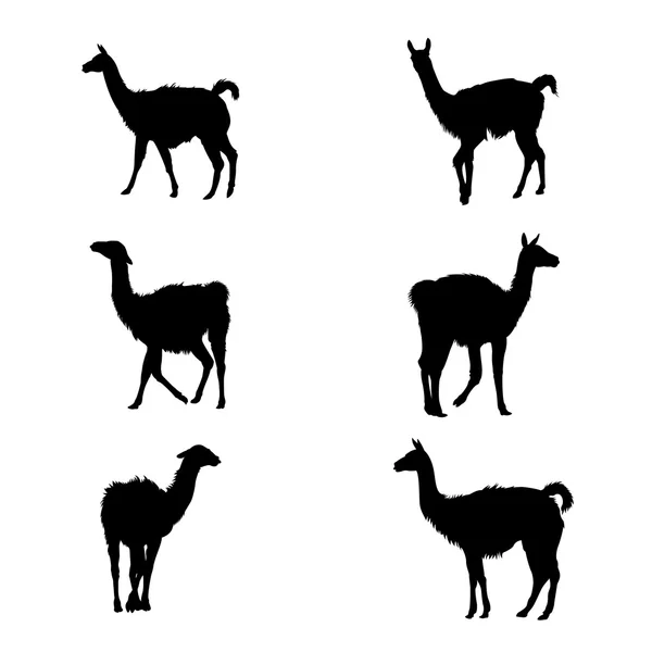 Alpaca blanca Vectores de stock libres de derechos | Depositphotos® Alpaca blanca Vectores de stock libres de derechos | Depositphotos®