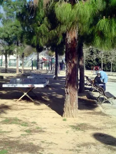 Alta mar | Parques, árboles, patrimonio ... (Son Cotoner) Alta mar | Parques, árboles, patrimonio ... (Son Cotoner)