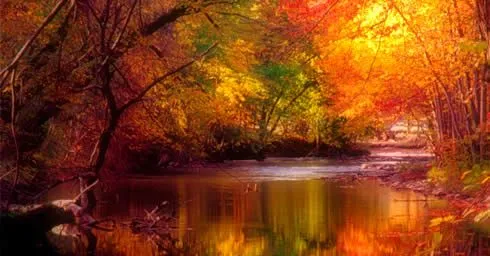 Alta resolucion - Imagui Alta resolucion - Imagui