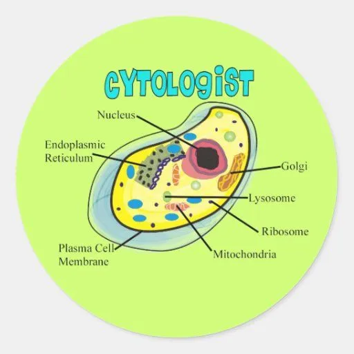 Regalos del dibujo de la célula humana del Cytolog Pegatinas ...