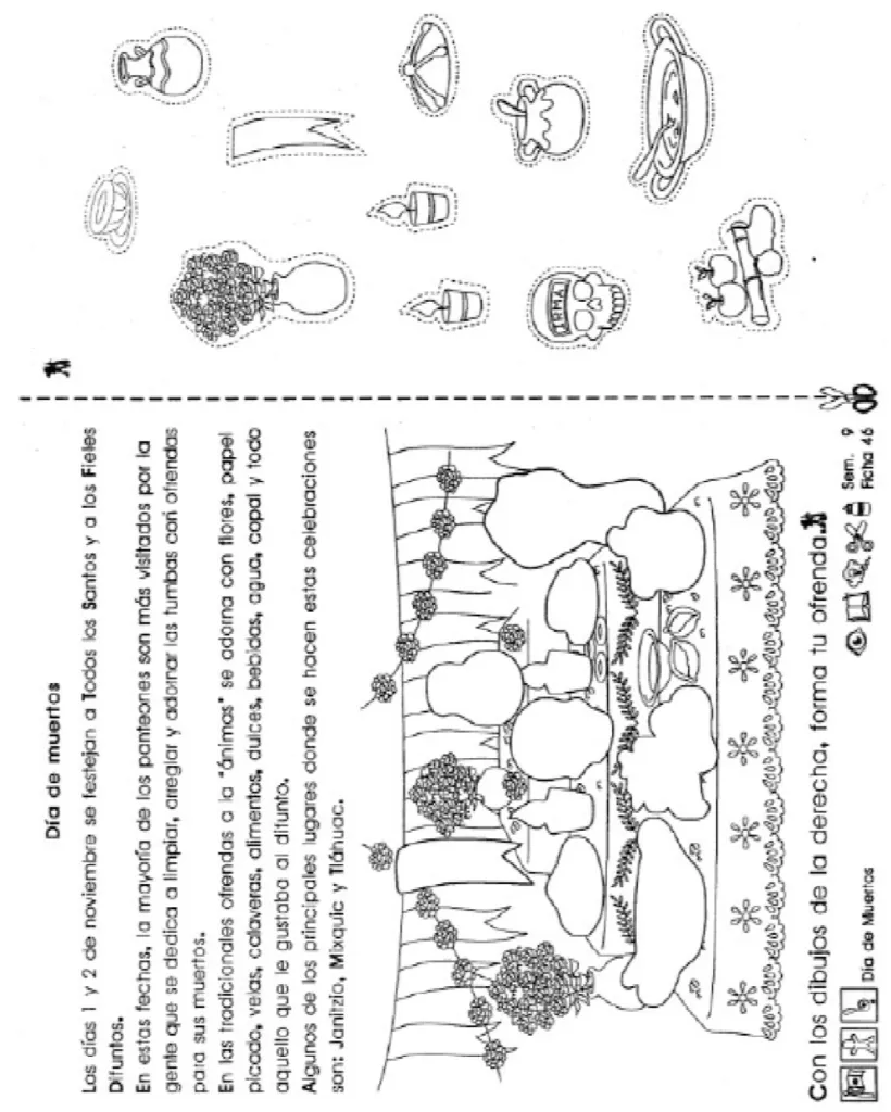 MI PROPIA CALAVERITA