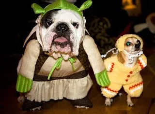 La alucinancia es poderosa en mí: Perros disfrazados