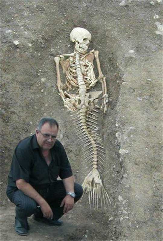 Alucinantes sirenas encontradas en las playas de Hawai y Egipto ... Alucinantes sirenas encontradas en las playas de Hawai y Egipto ...