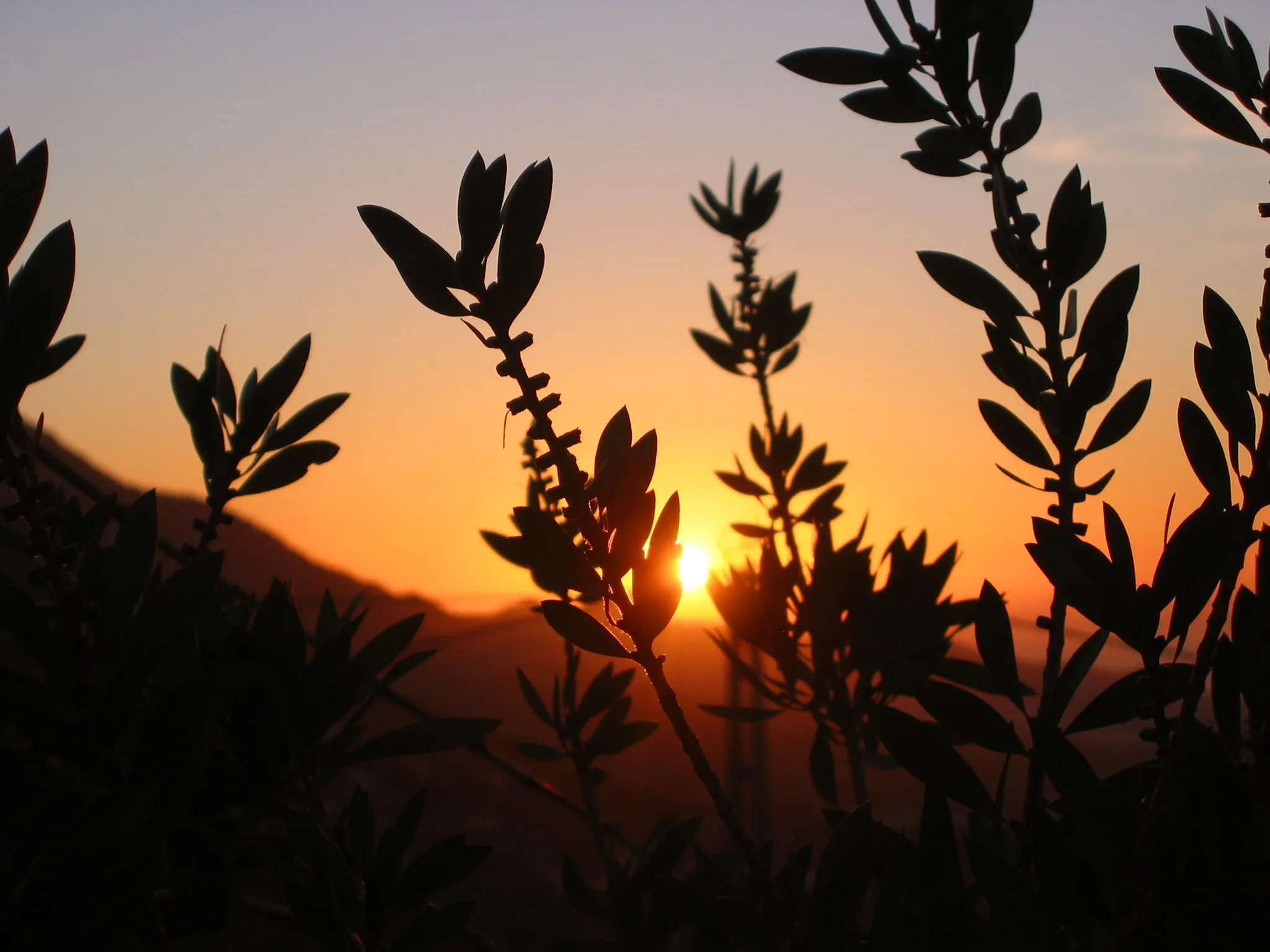 Amanecer en el campo | fotos de Nocturnas: amaneceres y atardeceres Amanecer en el campo | fotos de Nocturnas: amaneceres y atardeceres