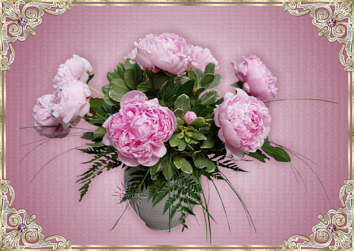 AMANECIENDOCONCAFE: BELLAS FLORES CON BRILLO AMANECIENDOCONCAFE: BELLAS FLORES CON BRILLO