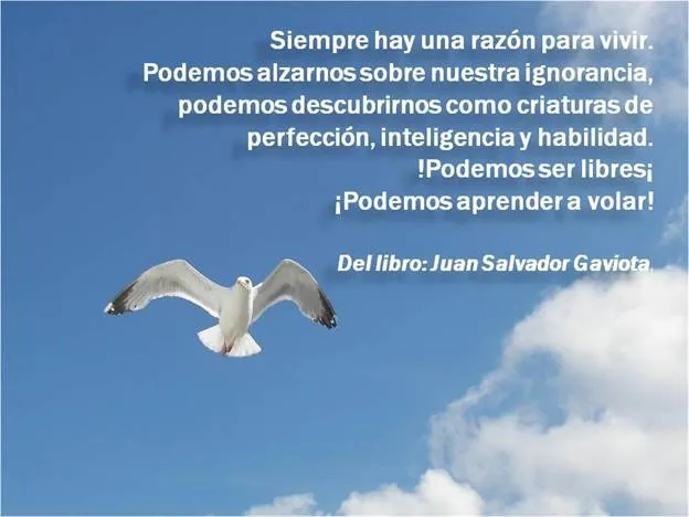 Es tiempo de amar y de no murmuraciones - Monografias.com Es tiempo de amar y de no murmuraciones - Monografias.com
