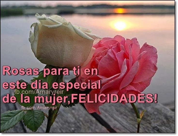 Amar, Vivir, Sentir y Sonreir: ROSAS para el dia de la mujer ... Amar, Vivir, Sentir y Sonreir: ROSAS para el dia de la mujer ...