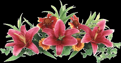 AMARNA IMAGENS: IMAGENS EM PNG DE BUQUÊS E CESTAS DE FLORES - Parte 2 AMARNA IMAGENS: IMAGENS EM PNG DE BUQUÊS E CESTAS DE FLORES - Parte 2