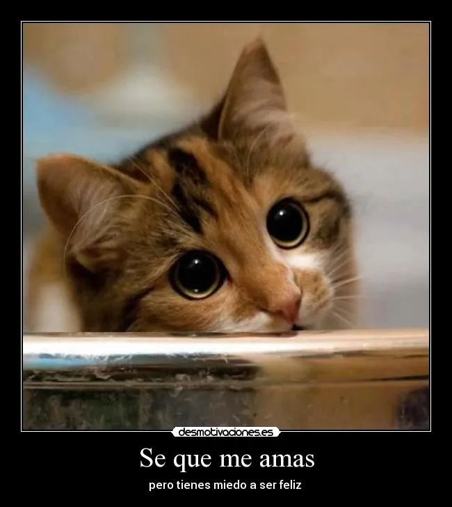 Se que me amas | Desmotivaciones