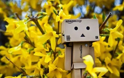 Amazon box on Pinterest | Danbo, Robots and Cardboard Boxes Amazon box on Pinterest | Danbo, Robots and Cardboard Boxes