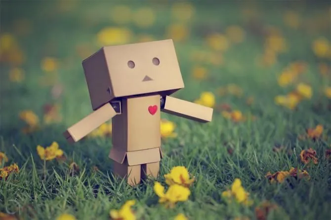 Amazon Cajita on Pinterest | Danbo, Robots and Amazons