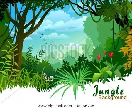 Amazon Vectors, Stock Photos & Illustrations | Bigstock Amazon Vectors, Stock Photos & Illustrations | Bigstock