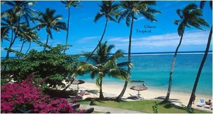 Amazonas: marzo 2011