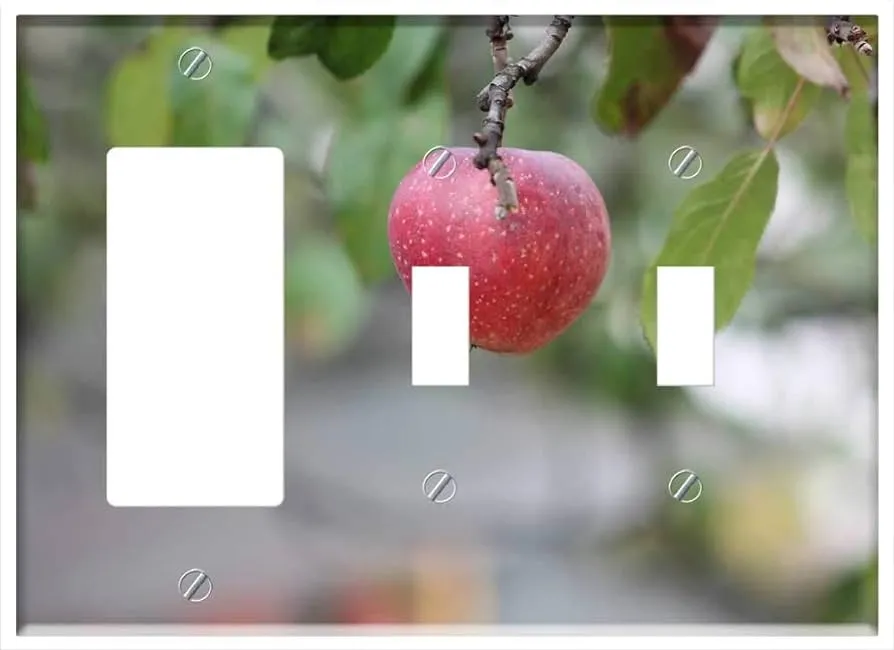 Amazon.com: 3-Gang 1-Rocker/GFCI 2-Toggle combinación placa de pared cubierta – manzana triste fruta manzanas naturaleza rojo cultivo : Herramientas y Mejoras del Hogar Amazon.com: 3-Gang 1-Rocker/GFCI 2-Toggle combinación placa de pared cubierta – manzana triste fruta manzanas naturaleza rojo cultivo : Herramientas y Mejoras del Hogar