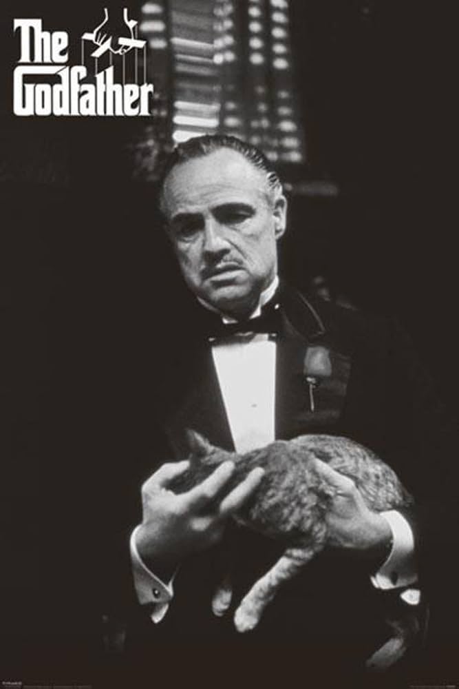 Amazon.com: Póster artístico de The Godfather Marlon Brando con película de gato, 36 x 24 pulgadas, decoración de pared, retrato icónico : Hogar y Cocina
