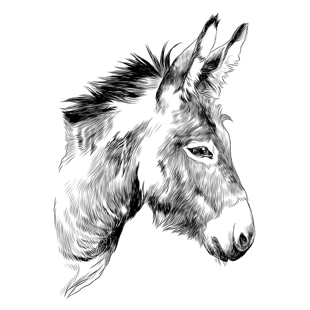 Amazon.com: Svnthqp Donkey - Kits de pintura de diamante 5D para adultos y niños, diseño de mule marrón, diseño de burro, cabeza monocroma, caballo y bricolaje, kit de pintura de diamante por Amazon.com: Svnthqp Donkey - Kits de pintura de diamante 5D para adultos y niños, diseño de mule marrón, diseño de burro, cabeza monocroma, caballo y bricolaje, kit de pintura de diamante por