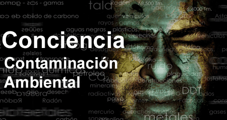 AMBIENTE: CAUSAS DE LA CONTAMINACIÓN AMBIENTAL AMBIENTE: CAUSAS DE LA CONTAMINACIÓN AMBIENTAL