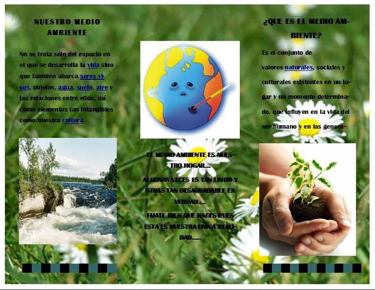 MEDIO AMBIENTE :D: imagen folleto :D !
