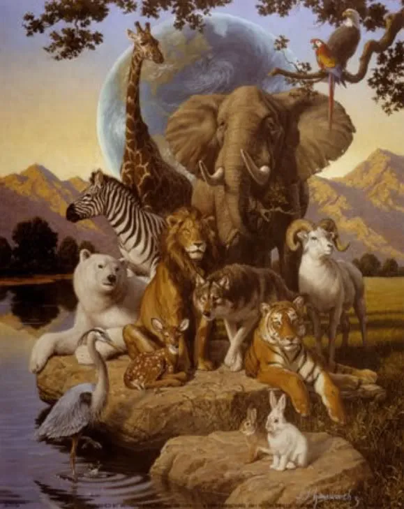 Medio Ambiente y Derechos de los Animales: INTERNACIONAL: CORTE ...