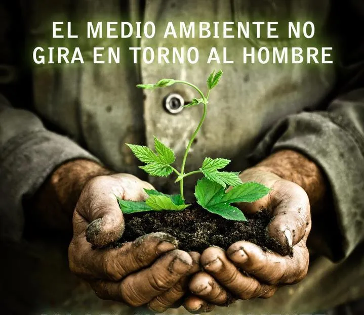 MEDIO AMBIENTE Y ECOLOGIA