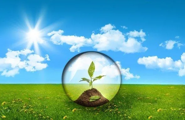 El medio ambiente - elblogverde.com