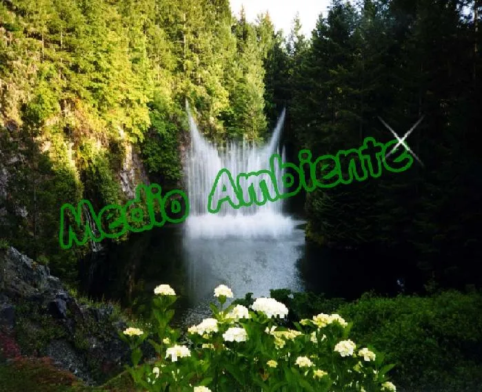 medio ambiente: fotos de medios ambientes contaminados por ...