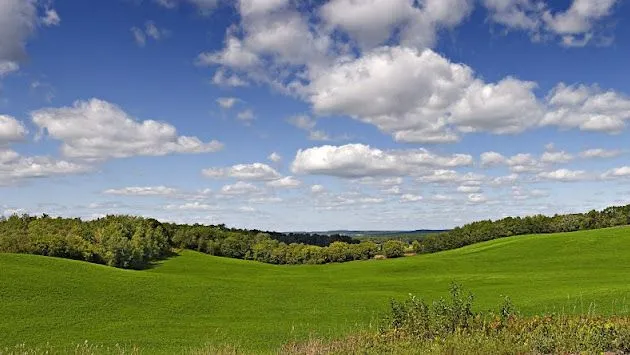 Ambiente Limpio - Google+