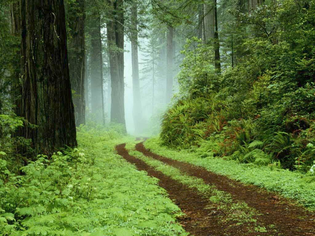 Los Ambientes Más Bellos de Venezuela: PAISAJES NATURALES Los Ambientes Más Bellos de Venezuela: PAISAJES NATURALES