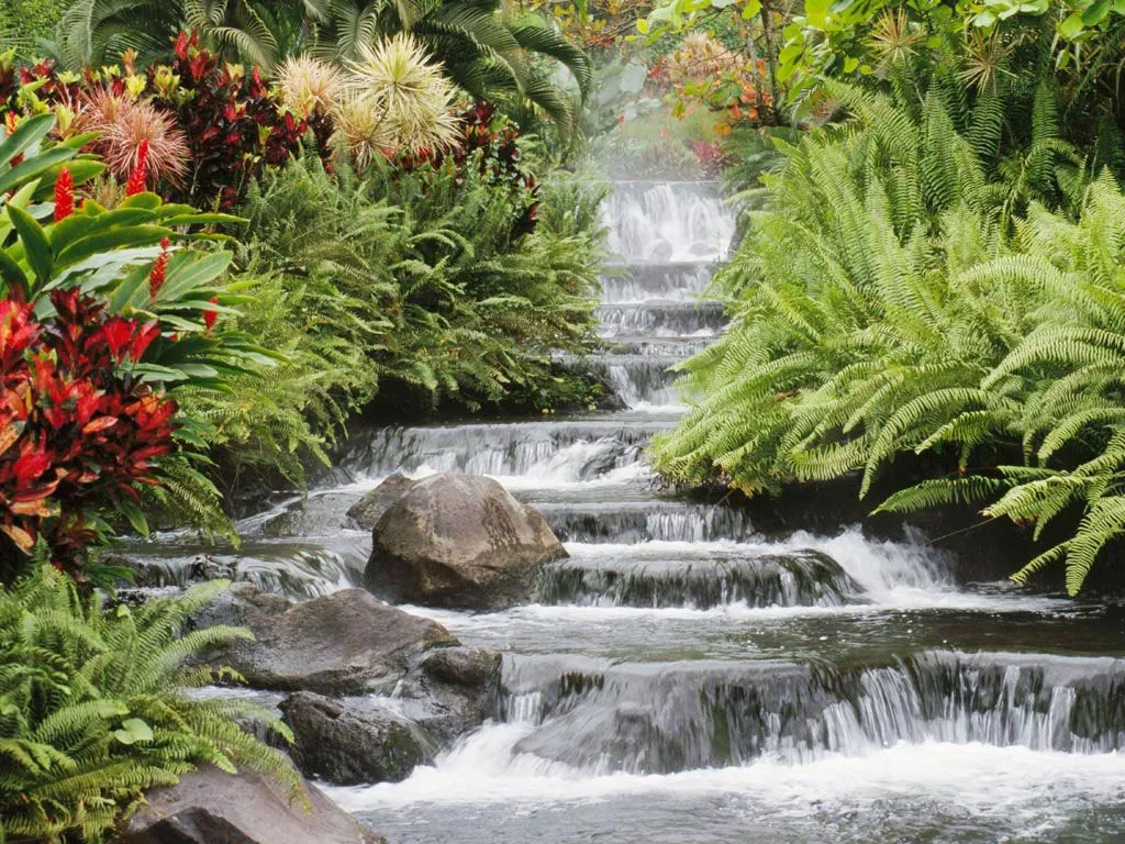 Los Ambientes Más Bellos de Venezuela: PAISAJES NATURALES Los Ambientes Más Bellos de Venezuela: PAISAJES NATURALES