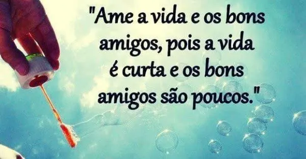 ame-a-vida-e-os-bons-amigos- ...
