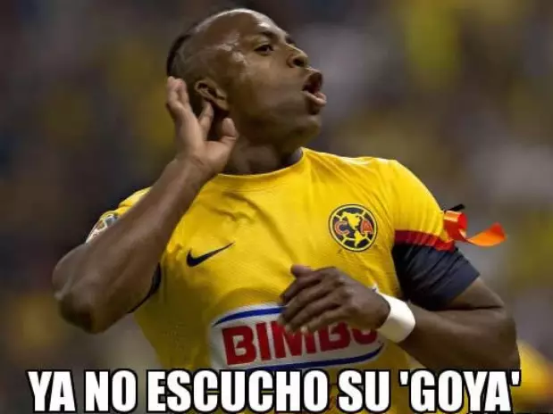 America burlandose de pumas - Imagui