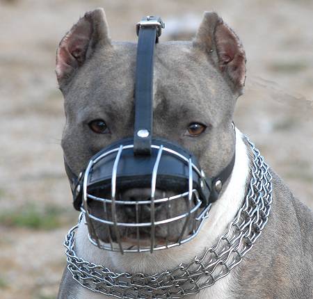  ... Terrier Wire Basket Dog Muzzles Size Chart -American Pit Bull Terrier