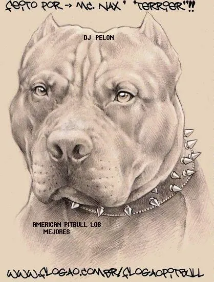 American pitbull caricatura - Imagui